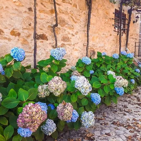 Quintinha De Santiago